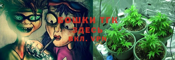 крисы Балахна